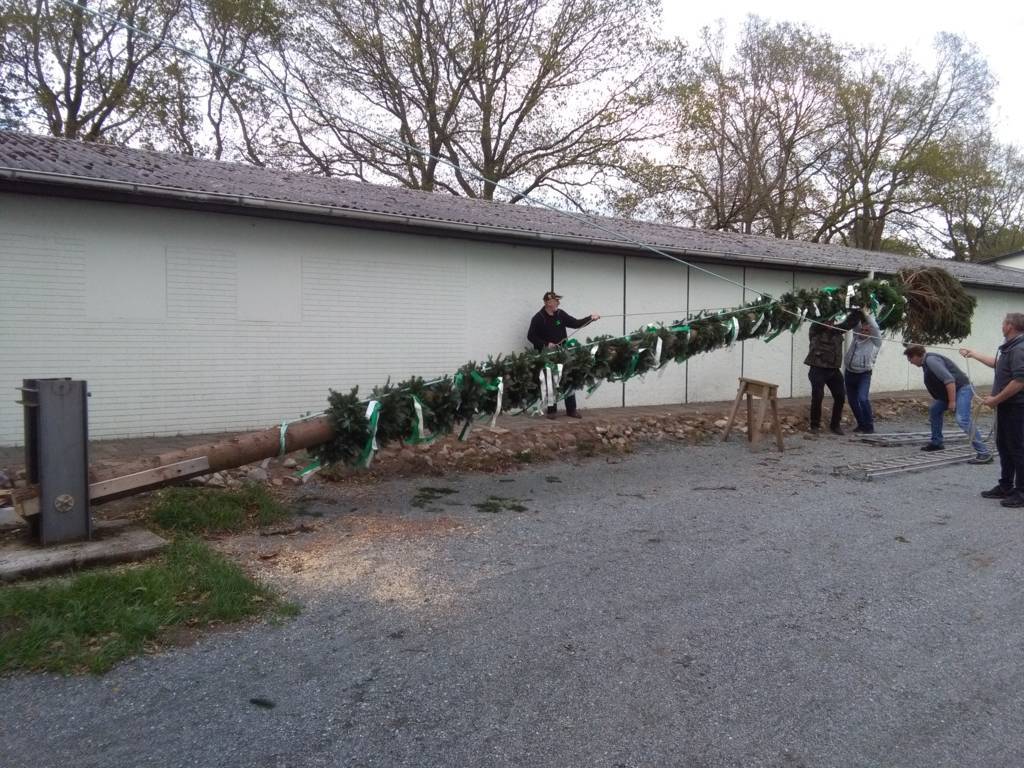 50-maibaum_2018_
